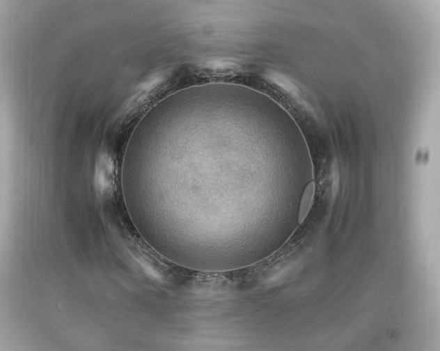 X0000092070866200709121414