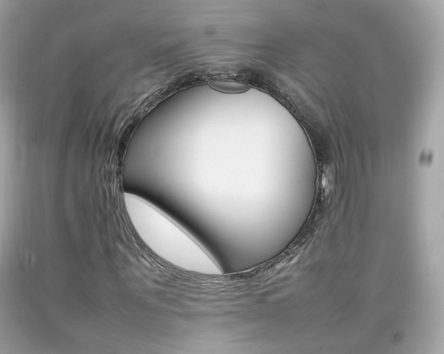 X0000092070867200709121414