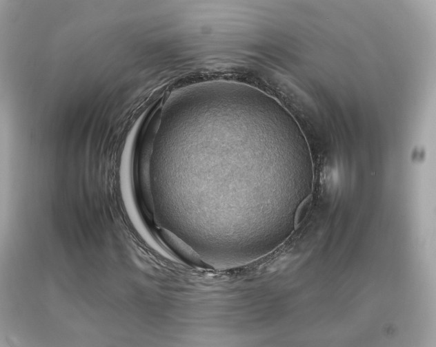 X0000092070868200709121414