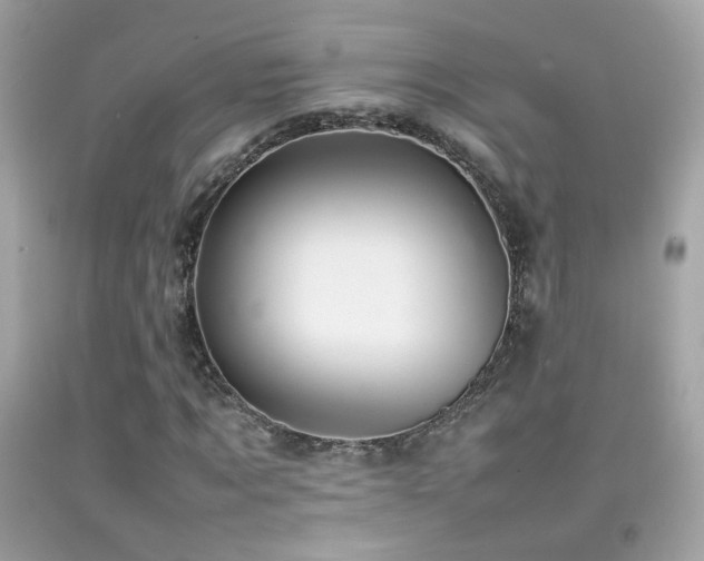 X0000092070869200709121414