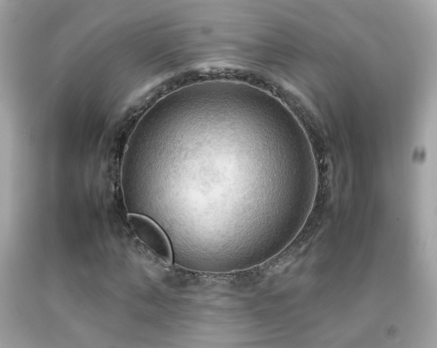 X0000092070870200709121414