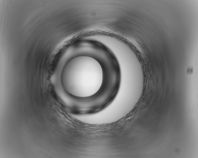 X0000092070872200709121414
