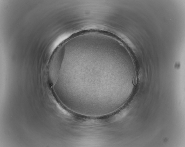 X0000092070877200709121414
