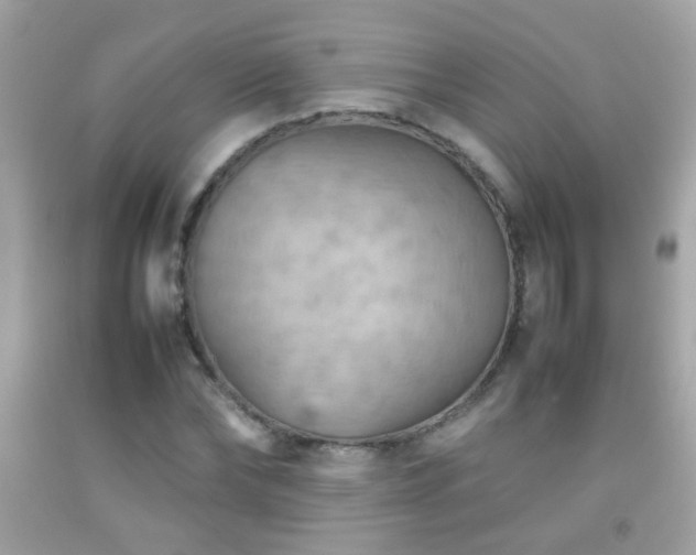 X0000092070878200709121414