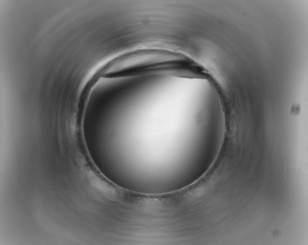 X0000092070880200709121414