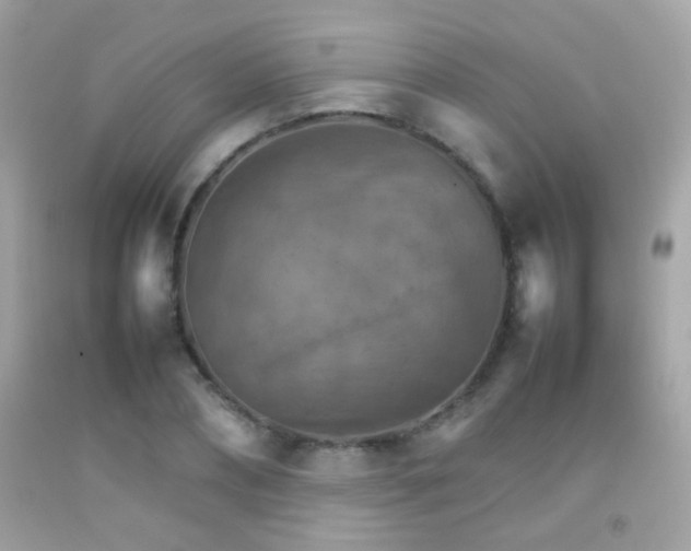 X0000092070882200709121414
