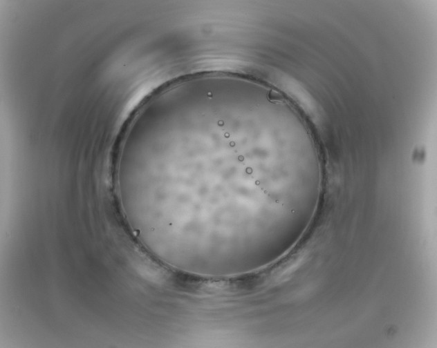 X0000092070883200709121414