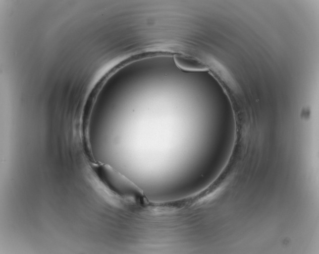 X0000092070884200709121414