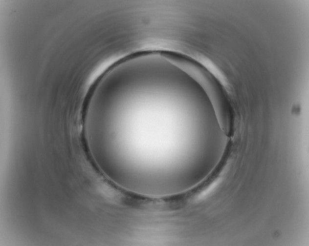 X0000092070885200709121414