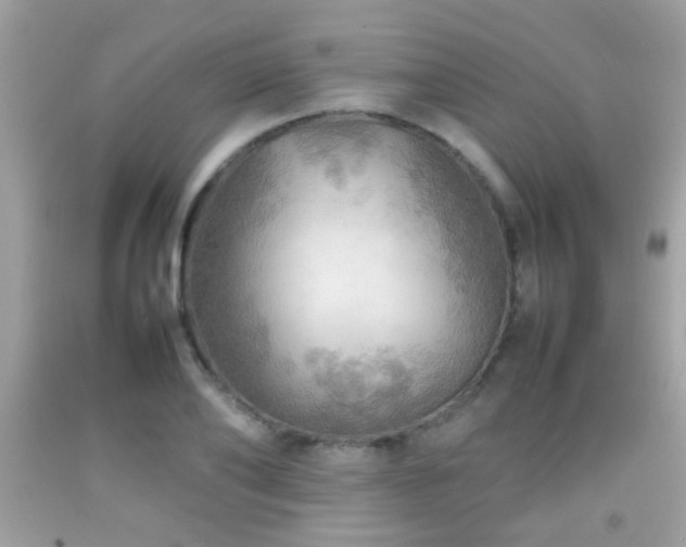 X0000092070886200709121414