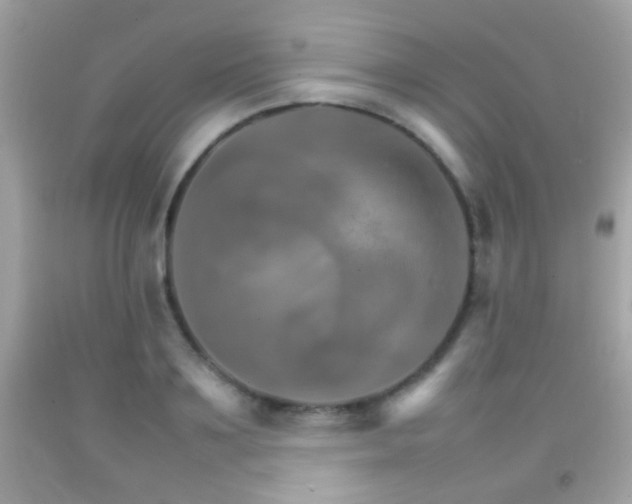 X0000092070891200709121414