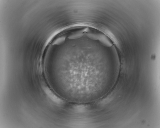 X0000092070892200709121414