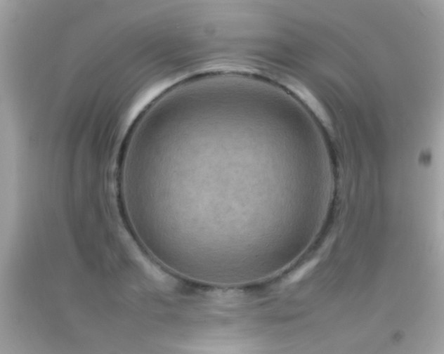 X0000092070893200709121414