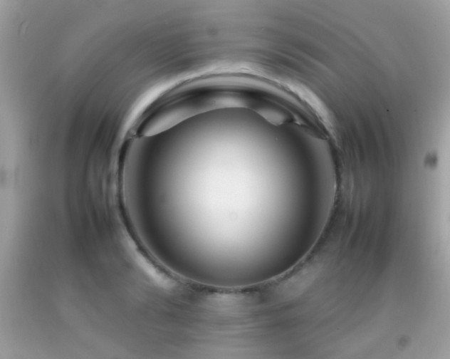 X0000092070894200709121414