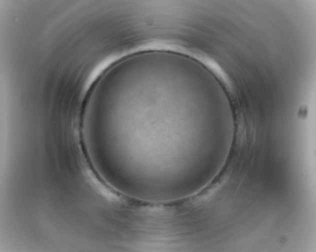 X0000092070896200709121414