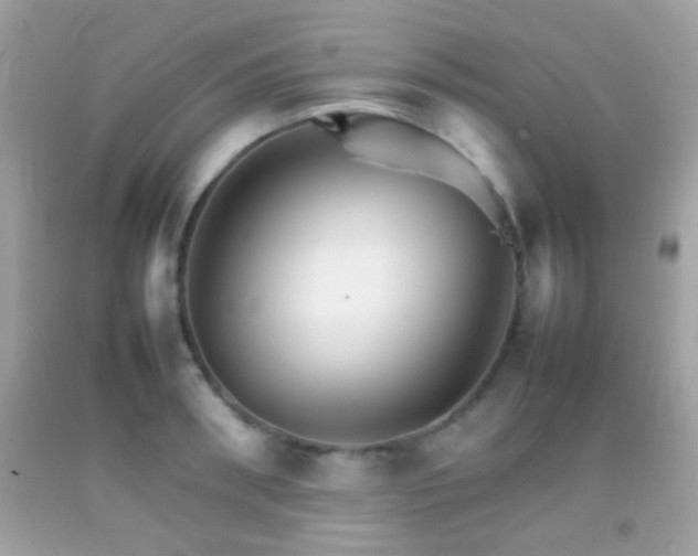 X0000092070898200709121414