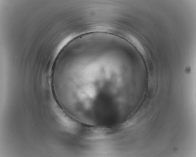 X0000092070899200709121414