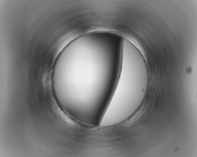 X0000092070906200709121413