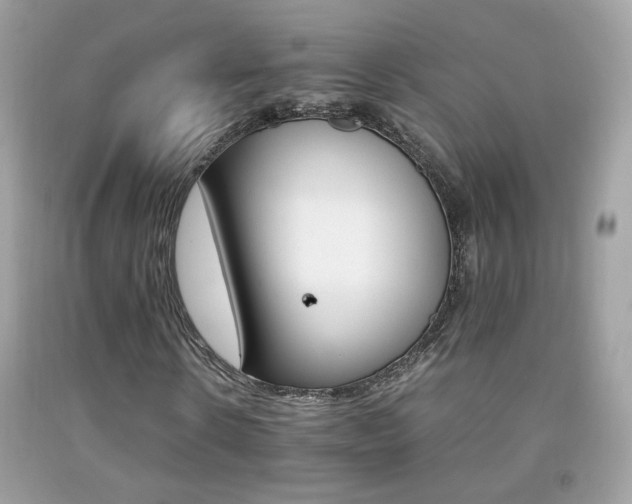X0000092070914200709121413