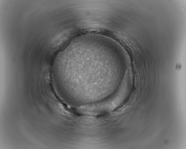 X0000092070916200709121413