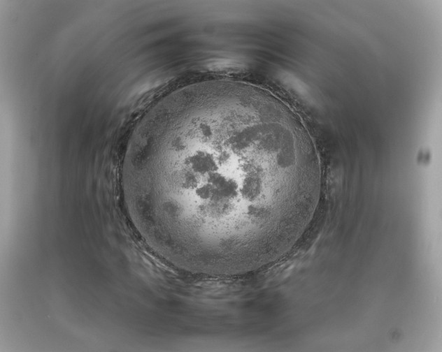 X0000092070917200709121413