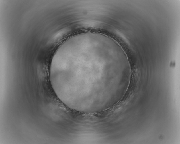 X0000092070918200709121413