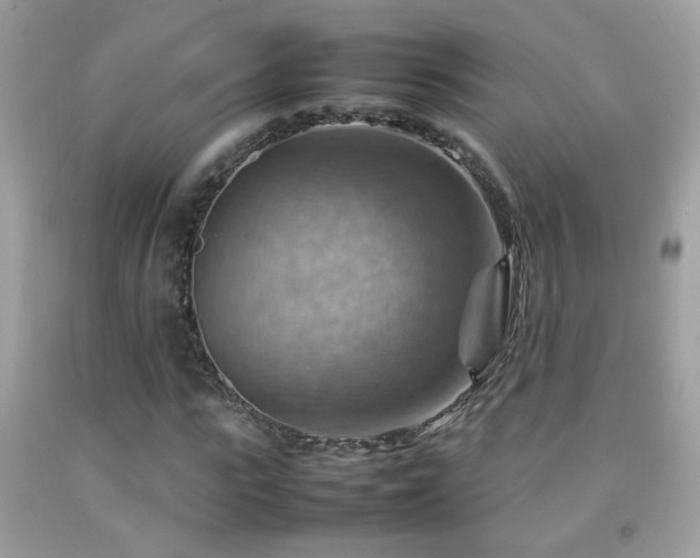 X0000092070919200709121413
