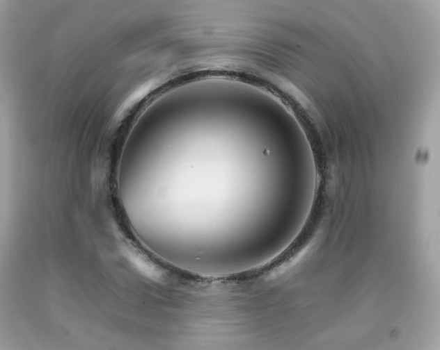 X0000092070922200709121413