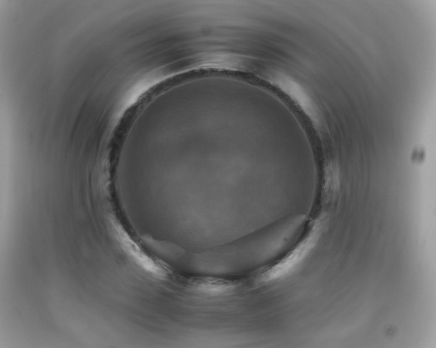 X0000092070923200709121413