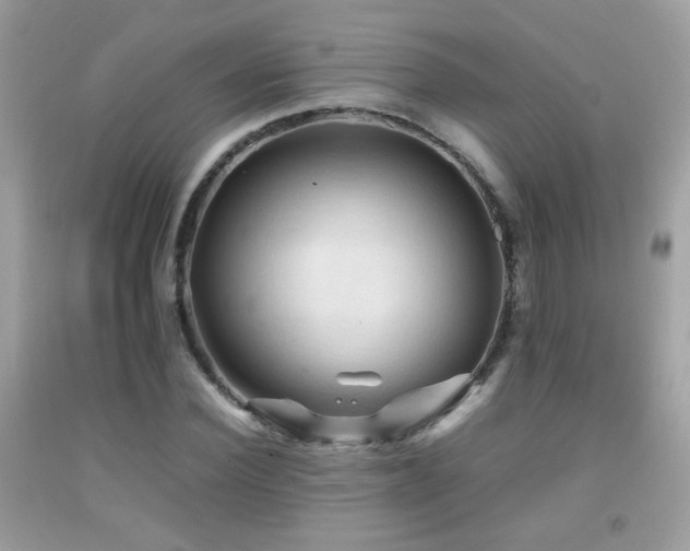 X0000092070924200709121413
