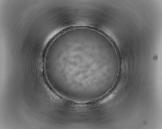 X0000092070925200709121413