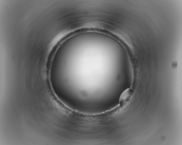 X0000092070927200709121413