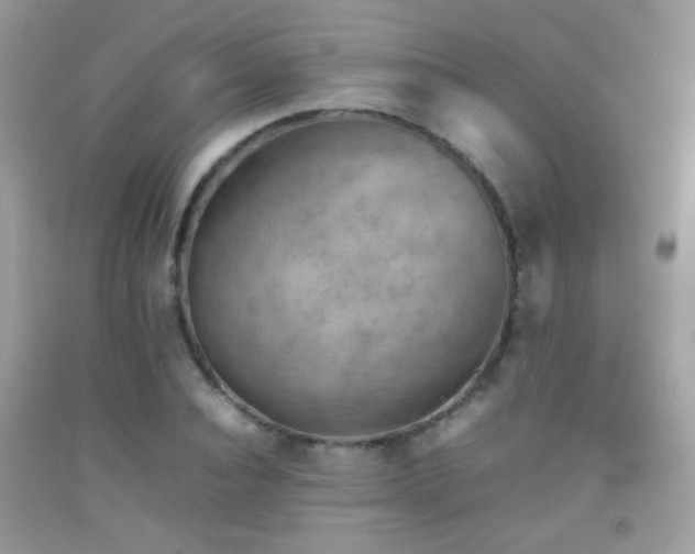 X0000092070928200709121413