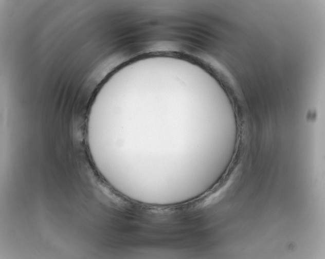 X0000092070929200709121413