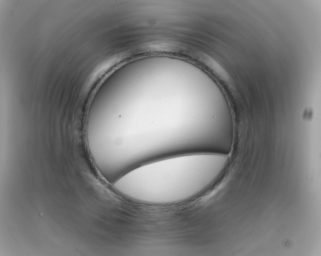 X0000092070930200709121413