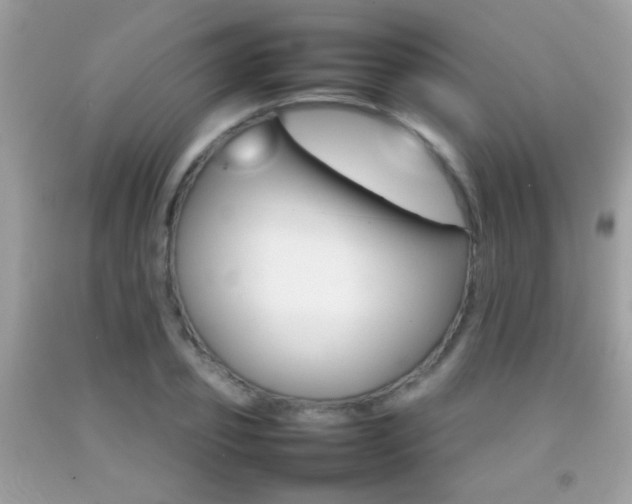 X0000092070933200709121413