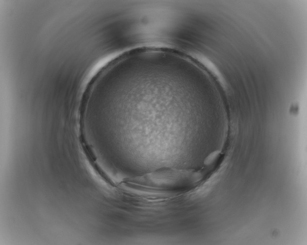 X0000092070935200709121413