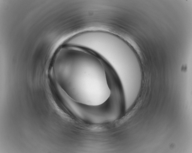 X0000092070936200709121413
