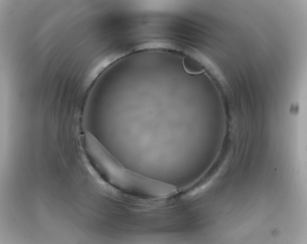 X0000092070937200709121413