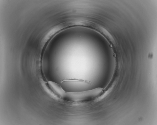 X0000092070938200709121413