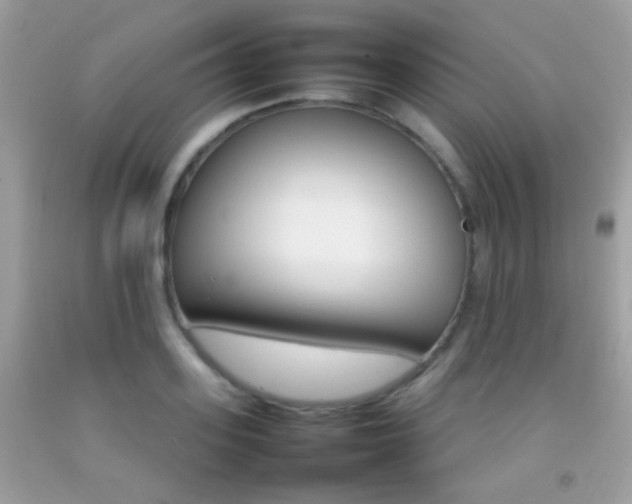 X0000092070939200709121413
