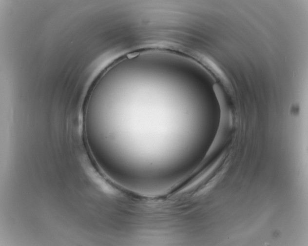 X0000092070940200709121413