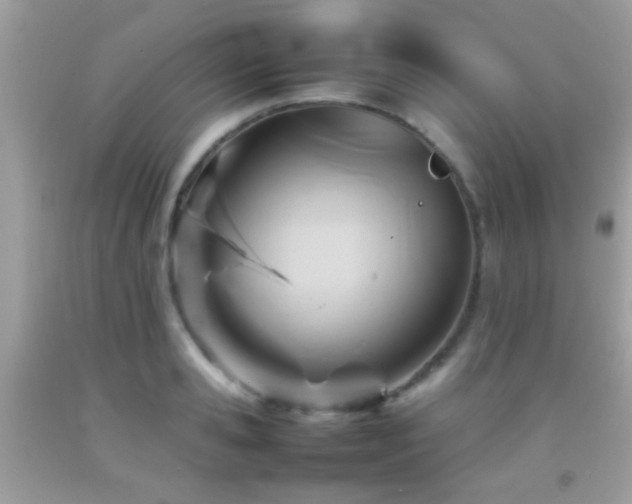 X0000092070941200709121413