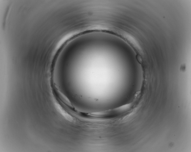 X0000092070942200709121413