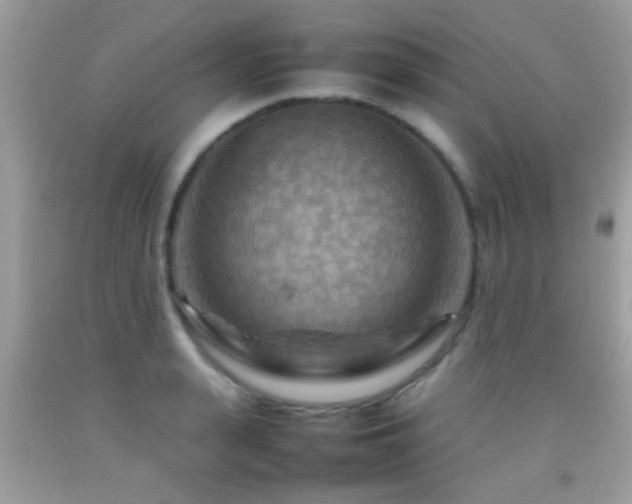 X0000092070943200709121413