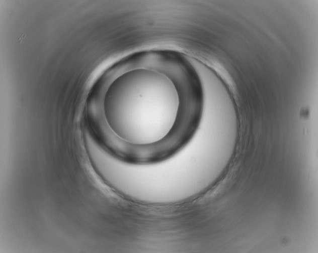 X0000092070944200709121413
