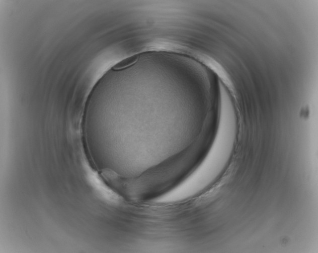 X0000092070946200709121413
