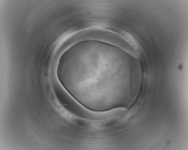 X0000092070948200709121413