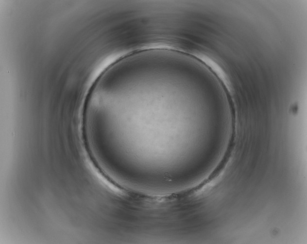 X0000092070949200709121413