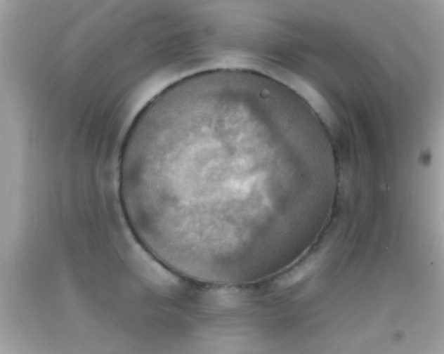 X0000092070950200709121413